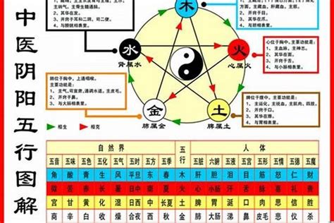 海中金命 屋上之鼠|84年属鼠海中金命的人一生的命运如何